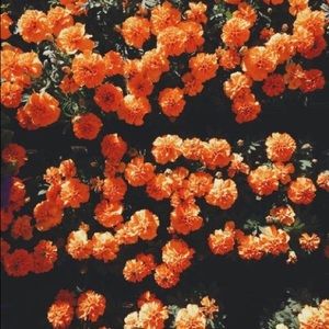 Meet your Posher, Adri